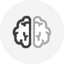 VideoIcon1
